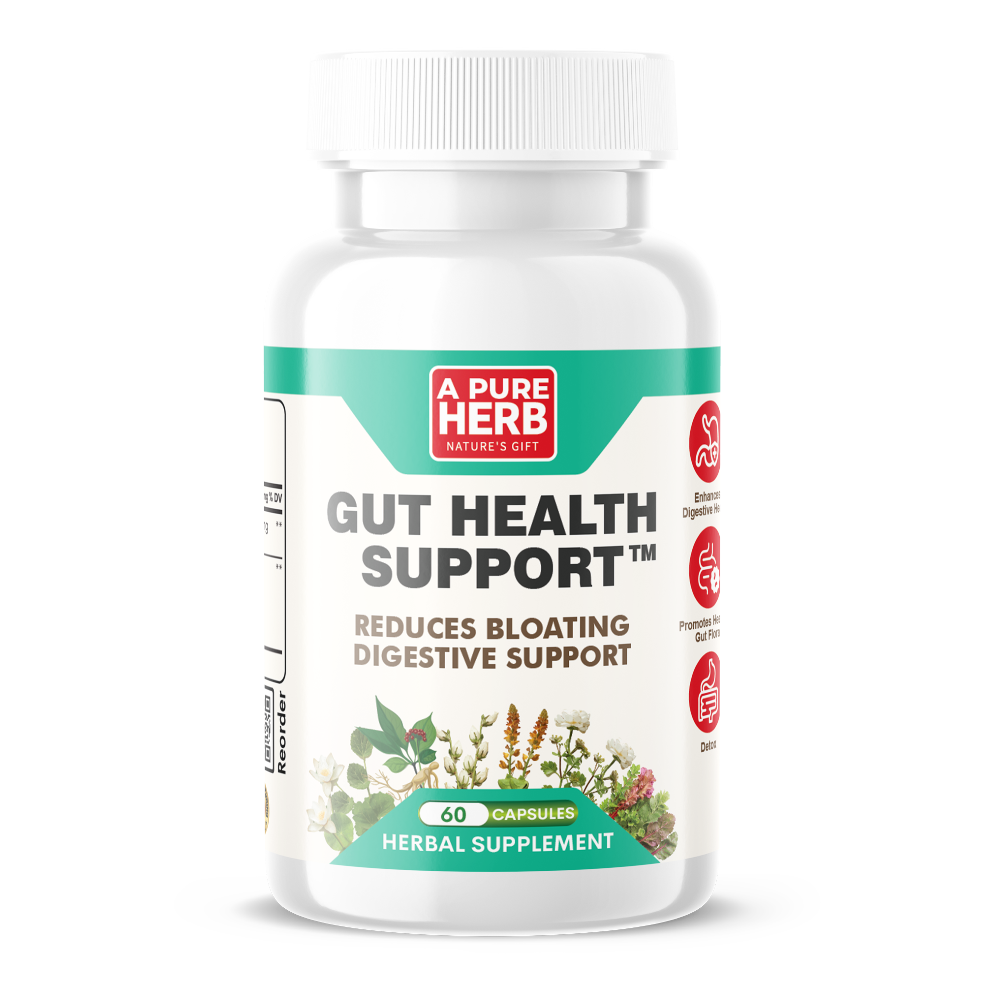GUT HEALTH SUPPORT